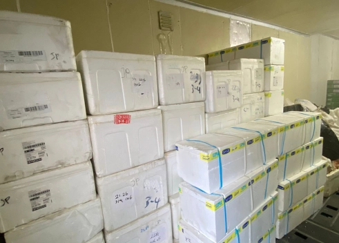 Other Information Cold Storage  Untuk Bisnis Online Berkembang ~blog/2023/10/13/whatsapp image 2023 08 22 at 14 48 08