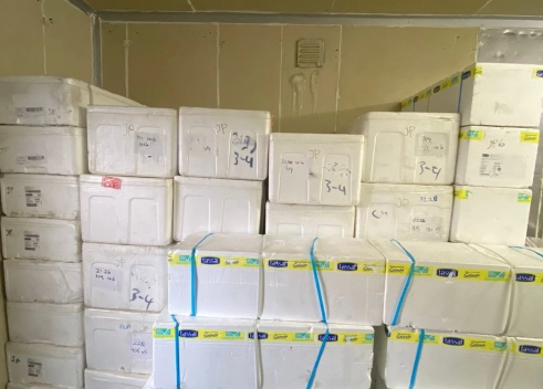 Other Information Cold Storage  Untuk Pergudangan Distribusi ~blog/2023/9/25/cold storage